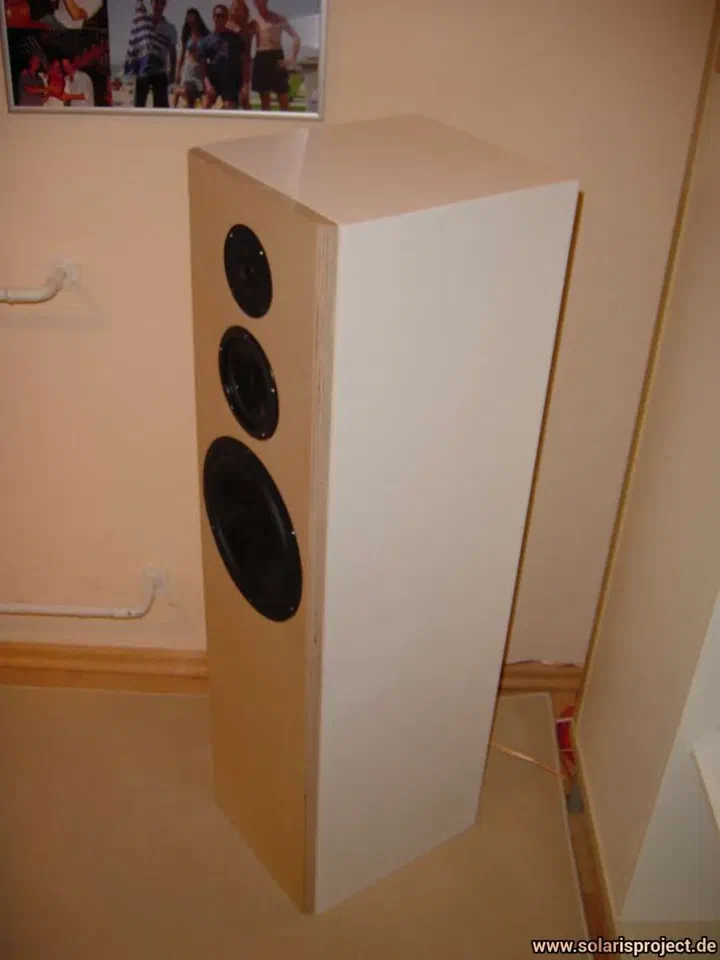 Finished speaker standing in living room